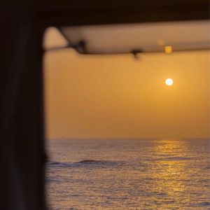 欧美性色欧美a在线播放
